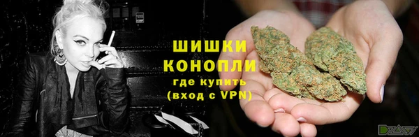 молекула духа Волосово